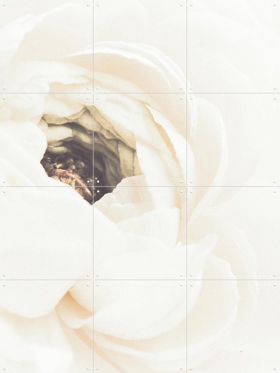 IXXI White Flower 01, 1x Studio II & Various - 60 x 80 cm - Gratis ophangtool - Grote wanddecoratie en posters - Realisme, Impressionisme