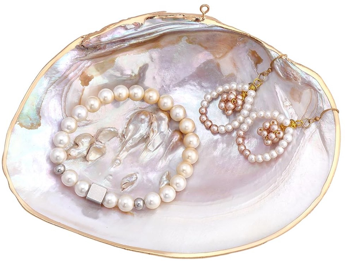 Omgoods - Shell Decorations Ring Scale, Schelpvormige Display Decoratie