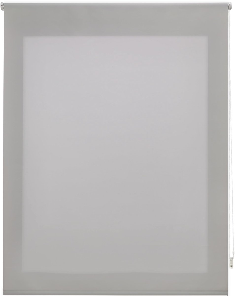Omgoods - Premium Roller Blind Translucent - Zilver 160 x 250 cm