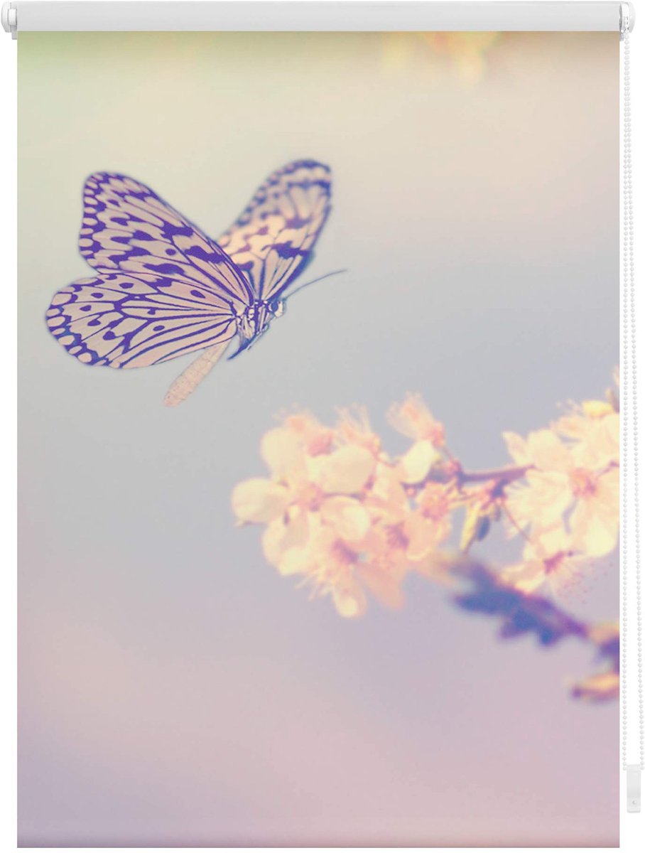 Omgoods - Zij Rolgordijn met Koord - Lichtdoorlatend 'Butterfly' 45 x 150 cm