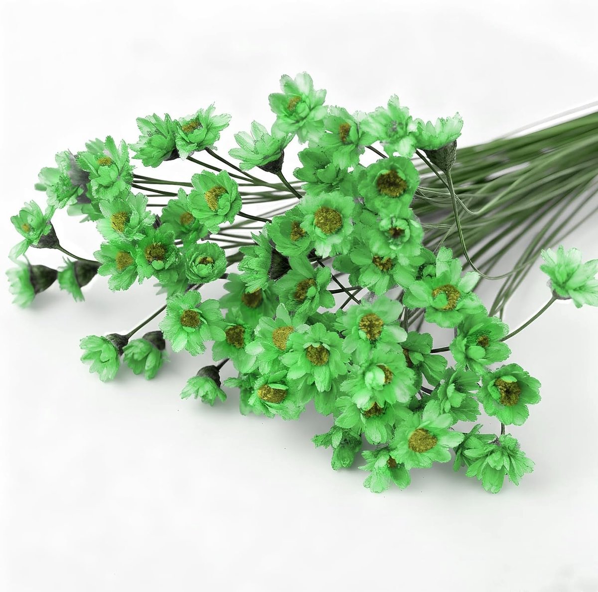 100 takjes kleine sterbloemen, groene Braziliaanse sterbloemen voor DIY kunst, hars, scrapbooking, sieraden maken, bloemversieringen