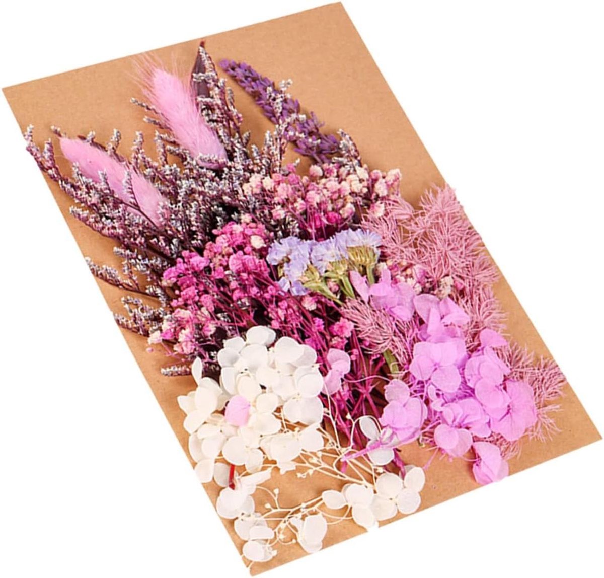 Droogbloemen Pakket - Natuurlijke Decoraties Handwerk - Kaarsen Maken - Diverse Natuurlijke Bloemen - 40 Gram - Diverse kleuren