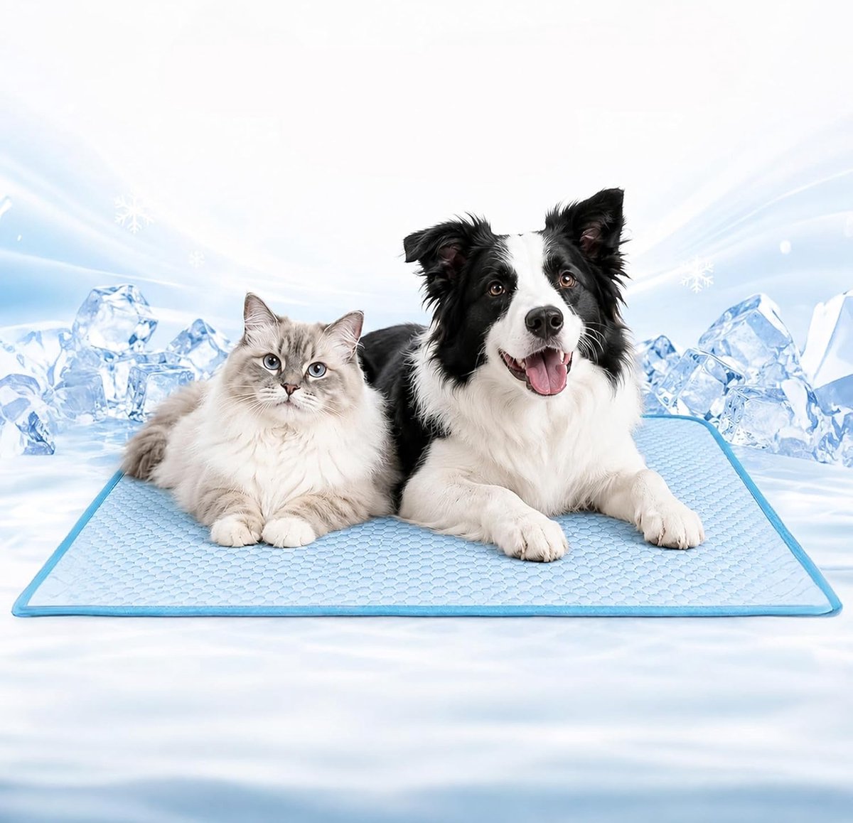 Koelmat voor honden, kussen voor honden, koelmat voor honden en katten, koelkussen, niet giftig