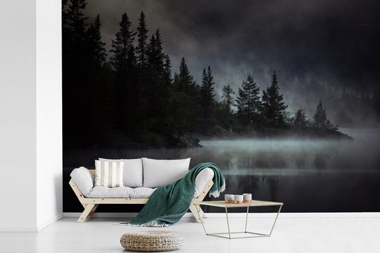 Papier fotobehang Photo Zwart et blanc d'une forêt brumeuse en Norvège