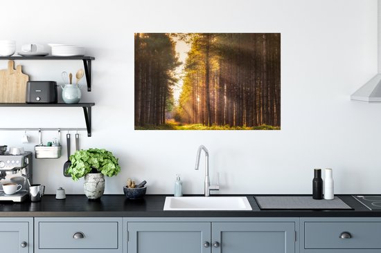 Sticker Muursticker Forêt - Rayons de soleil le long des grands arbres - 90x60 cm - film adhésif autocollant - sticker mural repositionnable