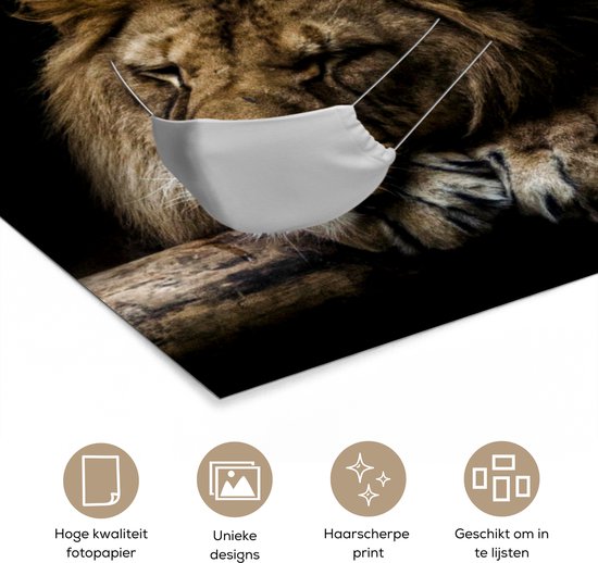Affiche Bouche bouche - Lion - Animaux - 80x120 cm