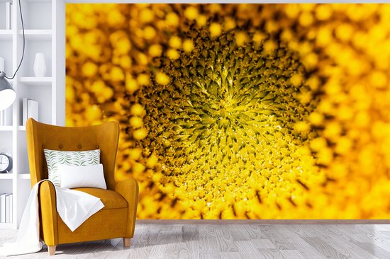 Papier peint - Papier peint photo peint - Noyau gros plan d'un tournesol - Largeur 420 cm x hauteur 280 cm