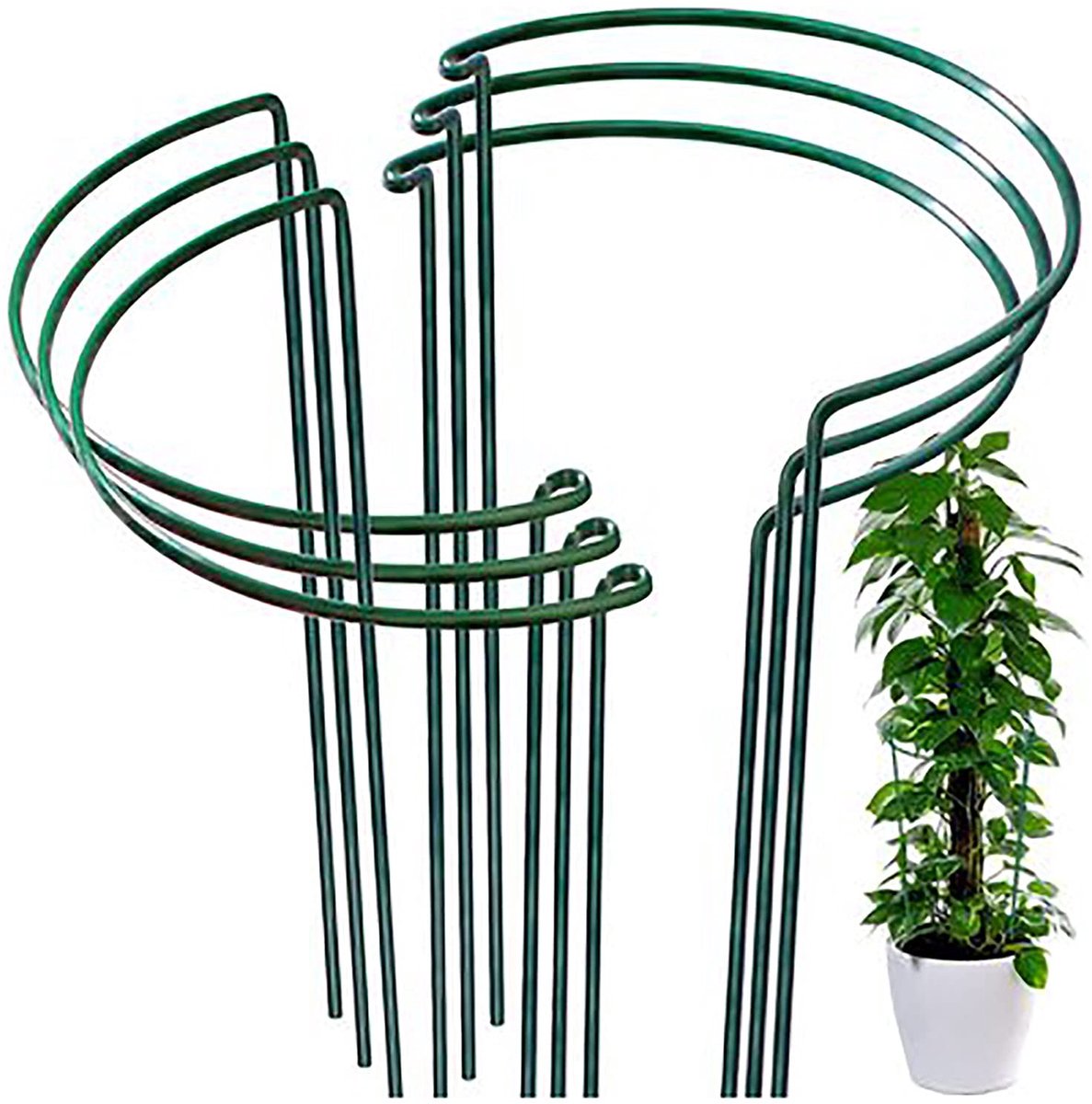 Plantensteun, halfrond, metaal, 6 stuks, struikhouders voor tuin, struiksteun, halfrond, bloemensteun, klimhulp, plantenhouder, hortensia, tuinrandsteunen voor tomaten, rozen, bloemen, wijnstok