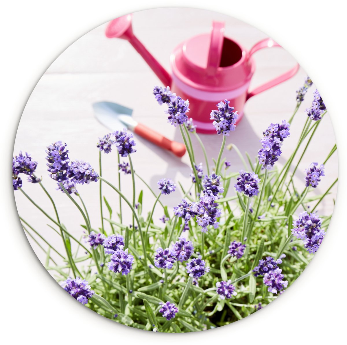 WallCircle® Wandcirkel 30x30 cm - Muurcirkel Gieter - Bloemen - Lavendel - Muurdecoratie w
