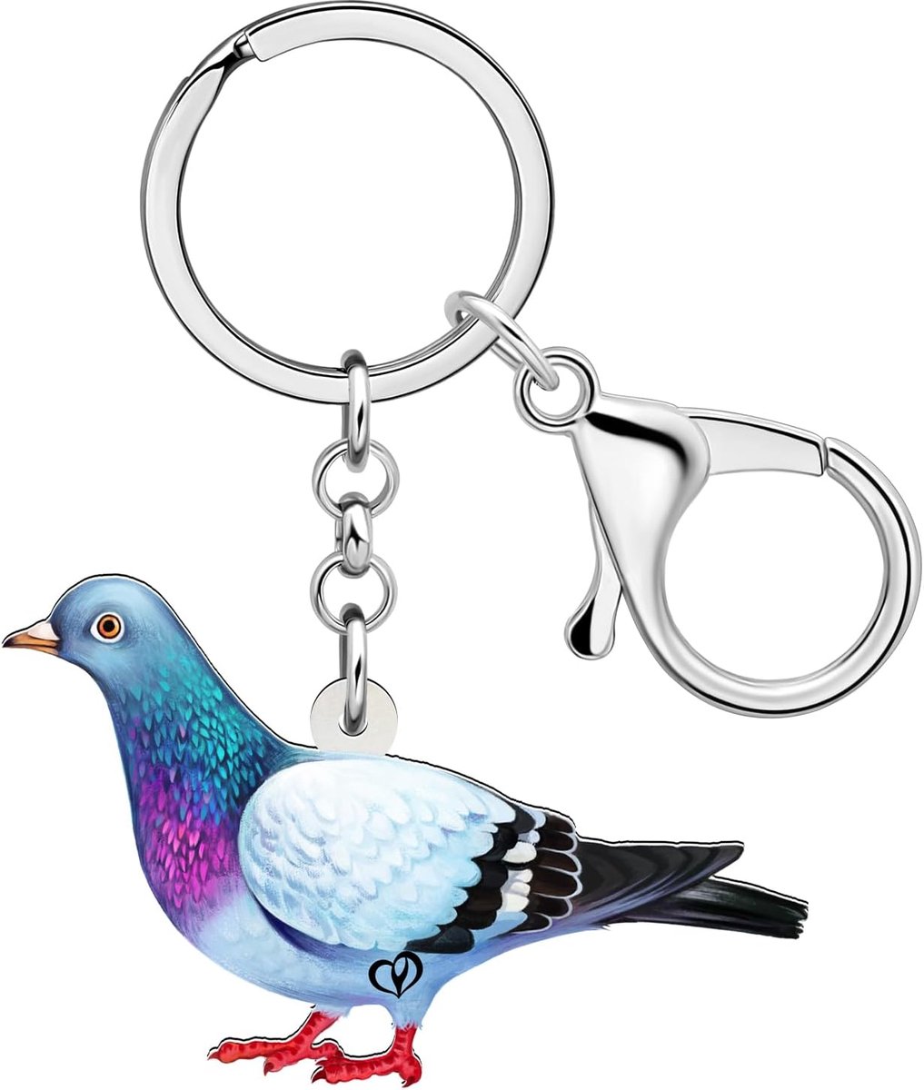 Acryl Leuke Duif Vogel Sleutelhanger Sleutelhanger Accessoires Geschenken Voor Vrouwen Meisjes Vogel Liefhebbers Autosleutels Portemonnee Rugzak Charm