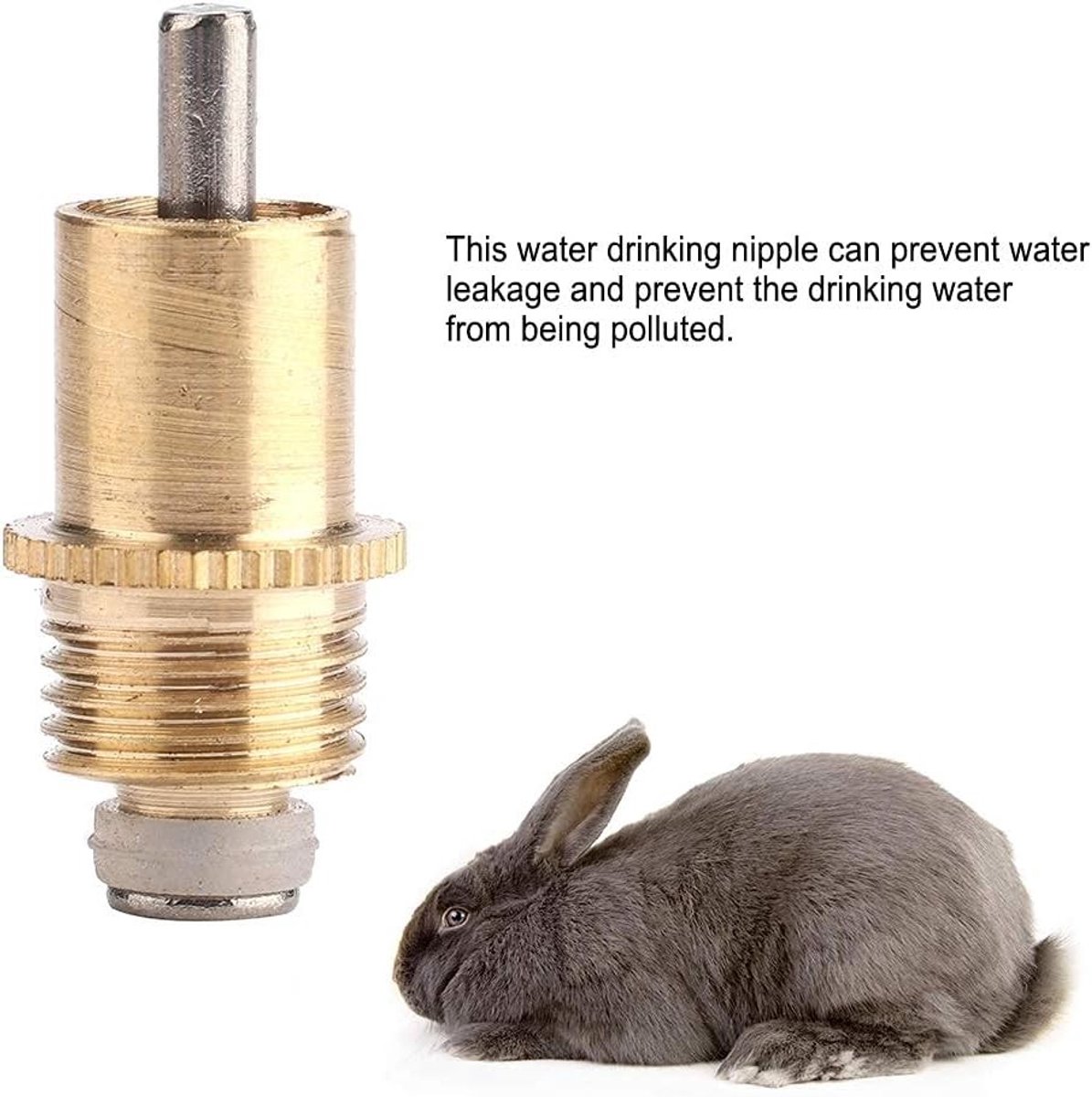 20 Stuks Lange Drinknippel Watergeef Accessoires voor Konijnen, Kippen, Eenden en Vogels - Dierenvoeding en Drinkgerei