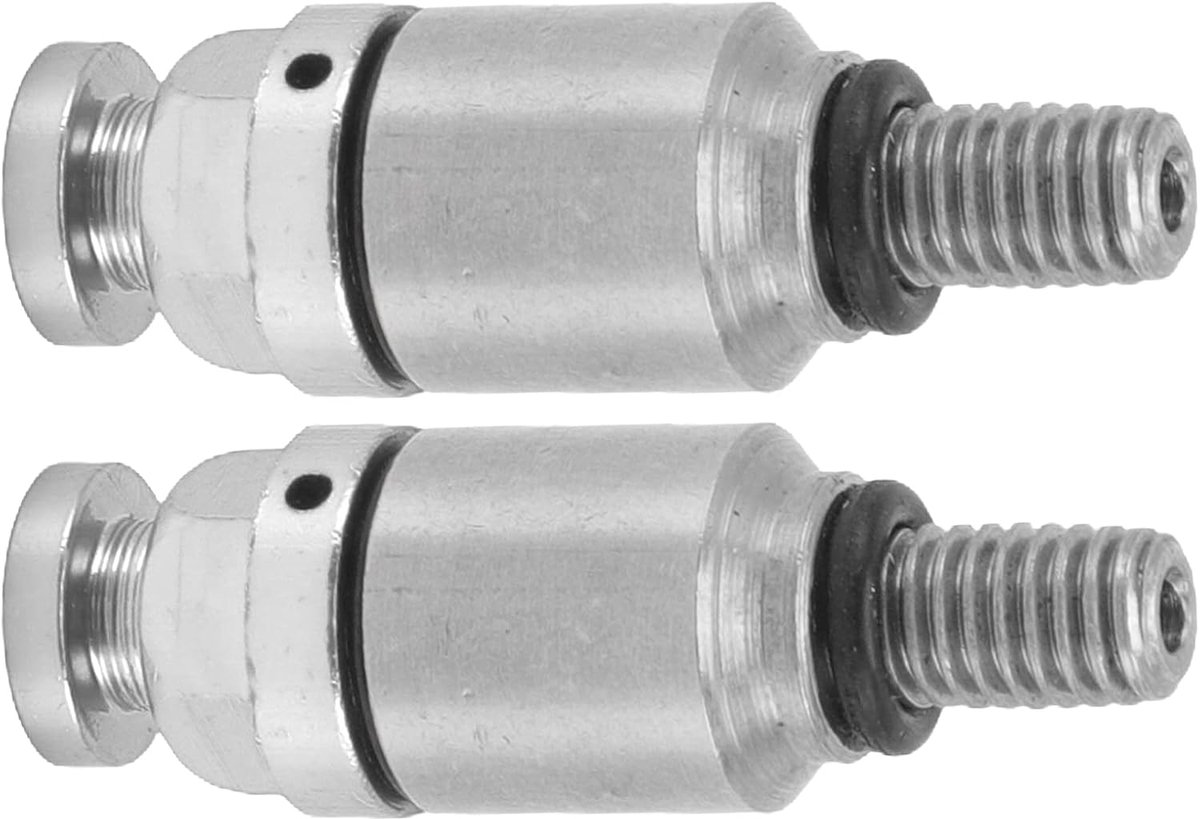 Vork, luchtontluchting, drukontluchting, 2 stuks M5 x 0,8 aluminiumlegering, vork, luchtontluchtingsventiel, vervanging voor CRF150R CR125R CR250R CRF250R (zilver)