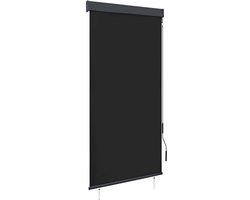 vidaXL - Rolgordijn - voor - buiten - 100x250 - cm - antraciet