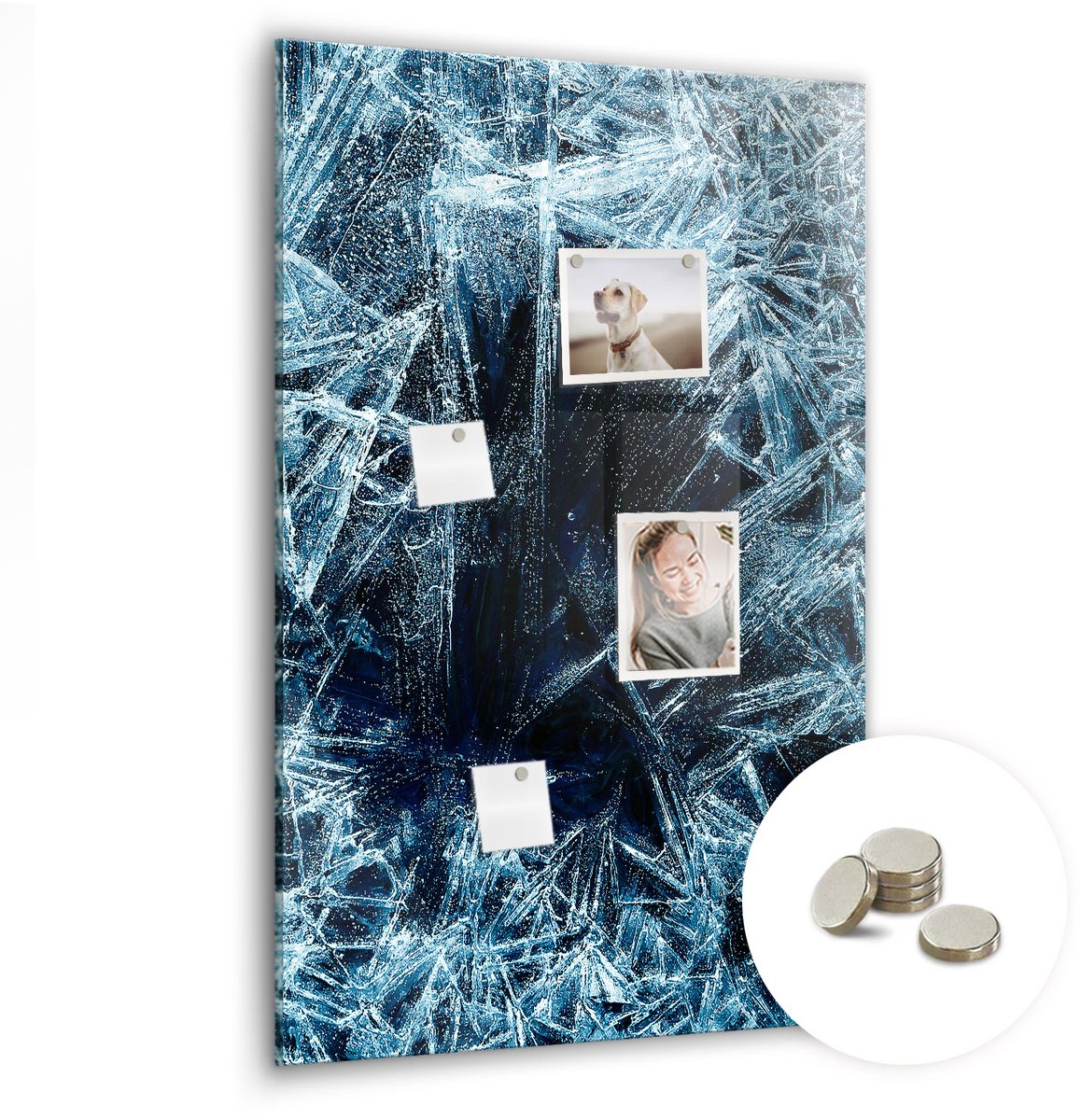 Coloray Glazen Magneetbord - Magnetisch Bord Tropische bladeren - 60x90 cm - Blauw Magneetbord - Magnetic Board - Wanddecoratie