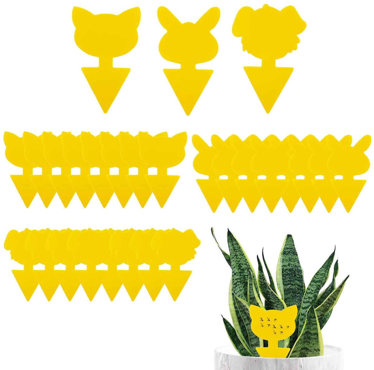 Solidchoice - Set van 24 Nematoden tegen Fungusmuggen met Gele Stickers