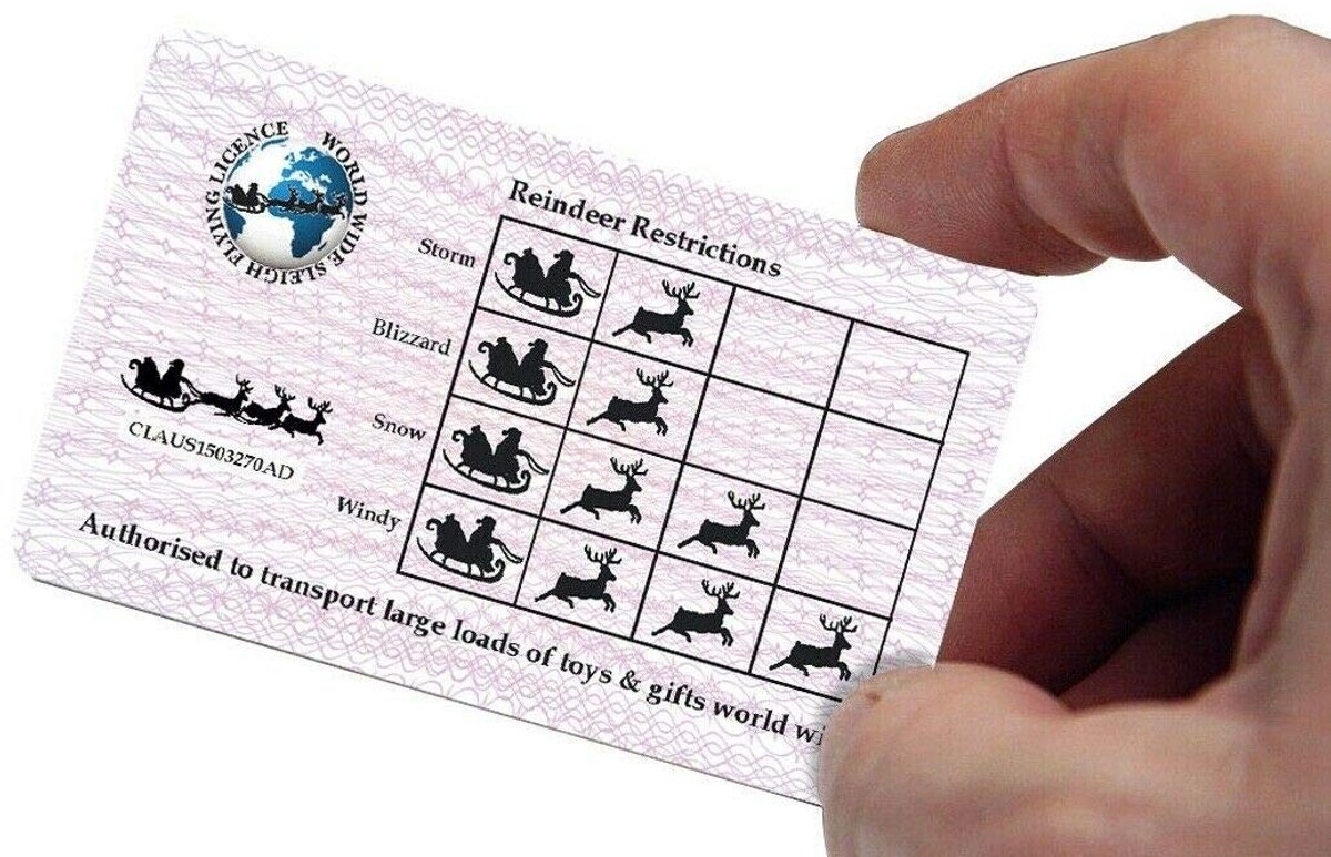 Solidchoice - Decoratieve Plastic Slede ID voor Kerst