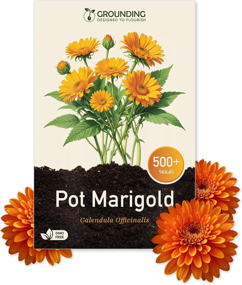 Calendula zaden oranje & gele mix - 500+ zaden - hoogte 30 cm - perfect voor balkons en borders - SnelShoppen