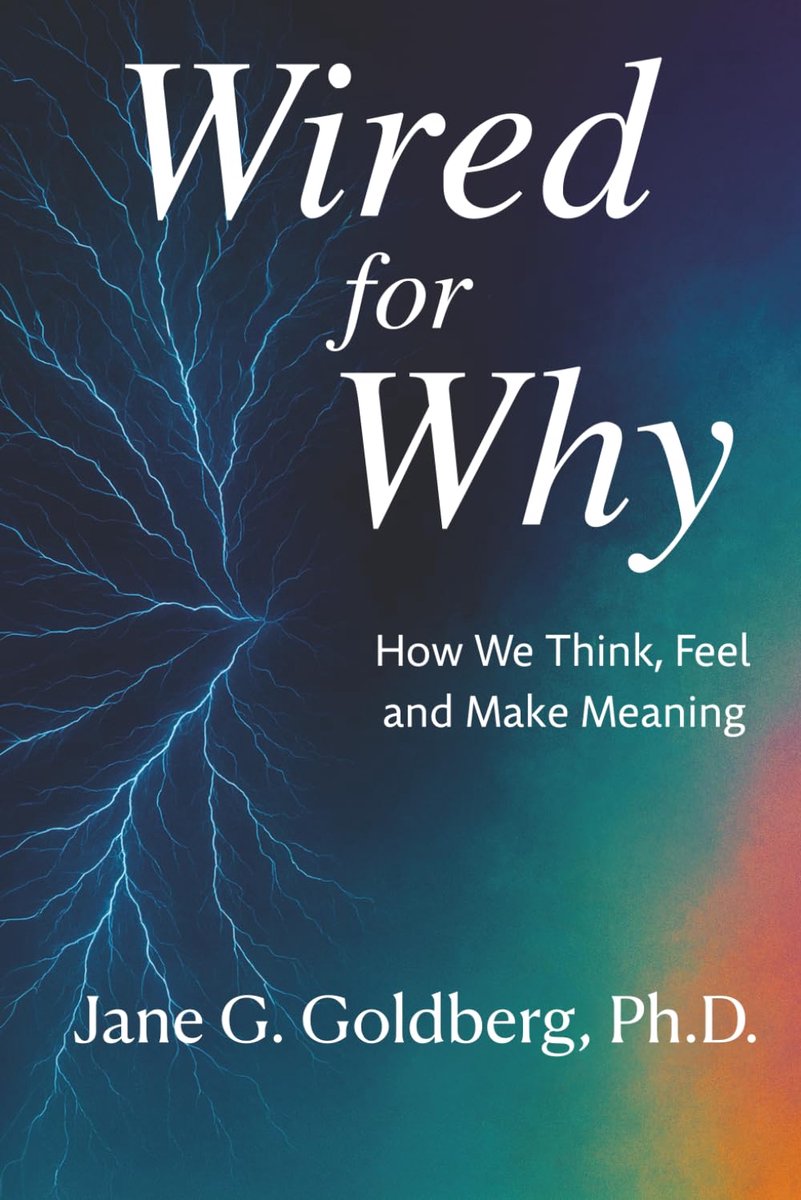 Boek WIRED FOR WHY - Inzicht in denken en voelen - Betekenisgeving en bewustzijn - Verdiep je in jezelf - ShopVlot