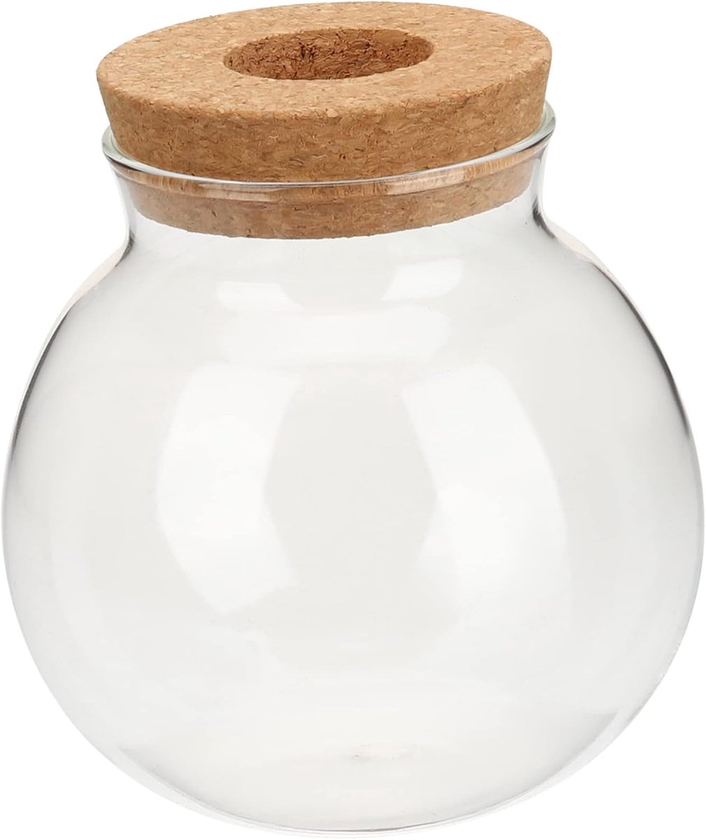Glazen vaas voor hydroponische planten - ronde vorm - unieke uitstraling - perfect voor interieurdecoratie - ShopVlot