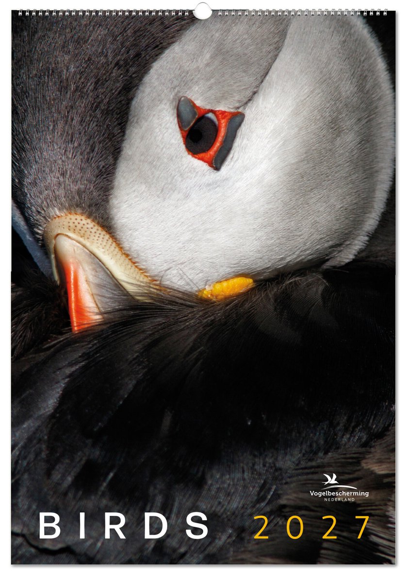 Vogelbescherming Maandkalender 2027