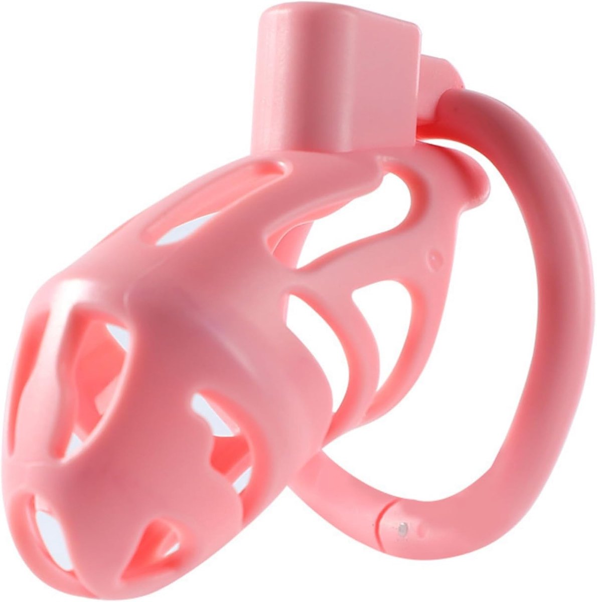 Eco Resin Safety Cage Control Cage, Loyalty and Trust - ShopVlot