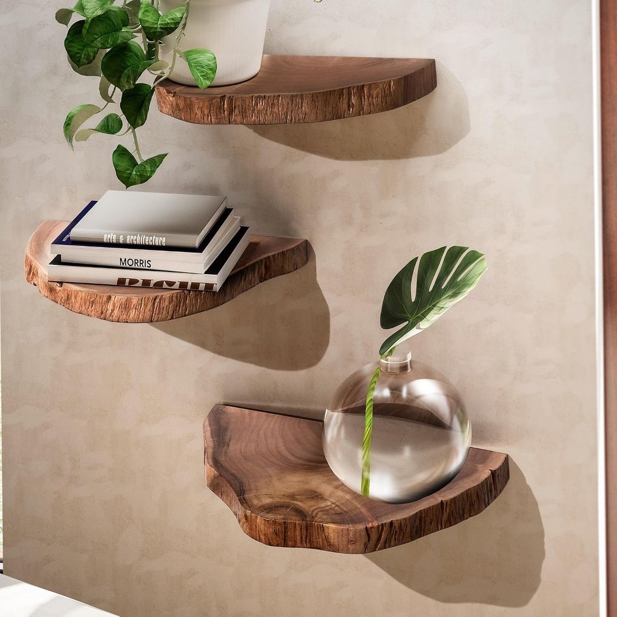 Wandrek Set van 3 Massief Acaciahout, Boomschijven | zwevende planken met natuurlijk rand, als plantentrap voor aan de muur te gebruiken, handgemaakte unieke exemplaren