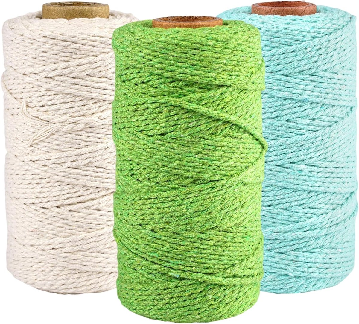3 Stuks Macramégaren 2mm x 100m,2mm x 100m Macramégaren,Macramé Koord | Gekleurd Macramétouw,DIY-Knutselprojecten,Polyester-Katoen,Katoenen Koord Naturel voor Hangplanten,Handwerk en Geweven Tassen