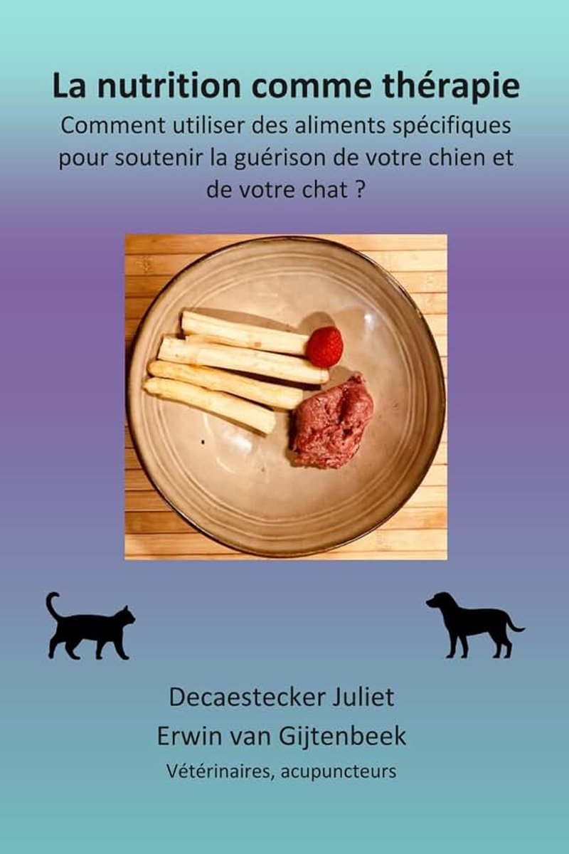 Nutrition comme thérapie: Comment utiliser des aliments spécifiques pour soutenir la guérison de votre chien et de votre chat ?