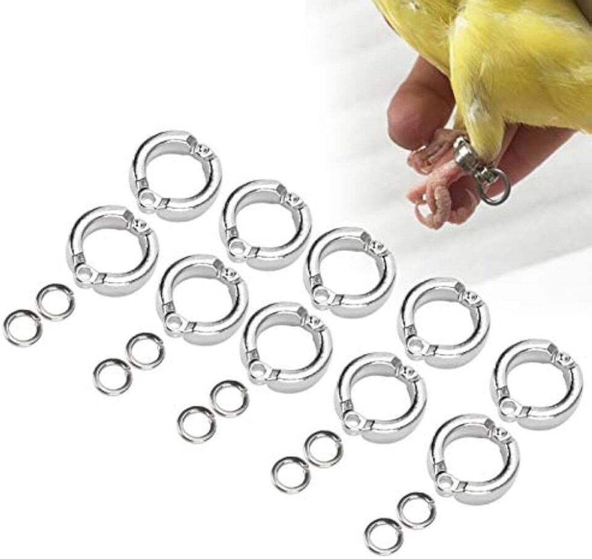 10 stuks Vogelvoetringen, metalen papegaaienpootring, outdoor vliegen, training, openingsclip, accessoires voor kleine, middelgrote en grote vogeltraining (#6)