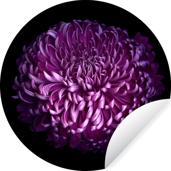 Feuilles d'une fleur violette sur fond noir Sticker papier peint cercle  mural ⌀ 140 cm... | bol.com