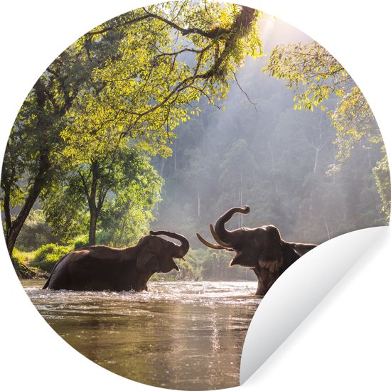 Cercle de papier peint - Éléphants qui jouent - 80x80 cm - Cercle mural - Autocollant - Sticker papier peint