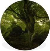 WallCircle - Wandcirkel ⌀ 150 - Groen duister bos - Ronde schilderijen woonkamer - Wandbord rond - Muurdecoratie cirkel - Kamer decoratie binnen - Wanddecoratie muurcirkel - Woonaccessoires
