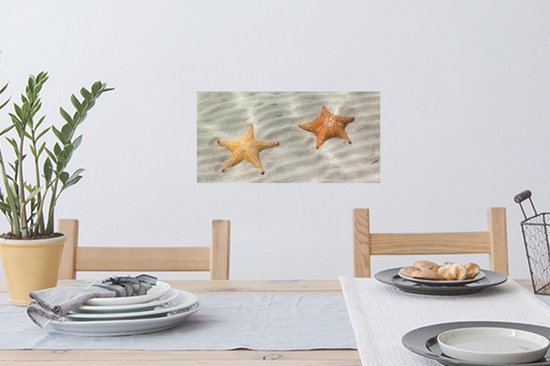 Stickers muraux - Étoile de mer - Water - Plage - 40x20 cm - Film adhésif