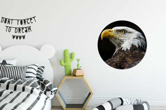 Profil d'un aigle sur fond noir Assiette en plastique cercle mural ⌀ 60 cm - tirage photo sur cercle mural / cercle vivant (décoration murale)