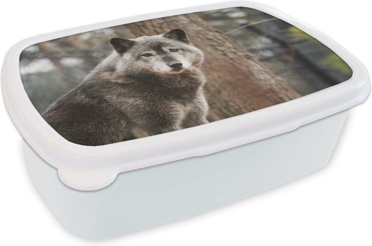 Broodtrommel Wit - Lunchbox - Brooddoos - Wolf - Bos - Boom - 18x12x6 cm - Volwassenen