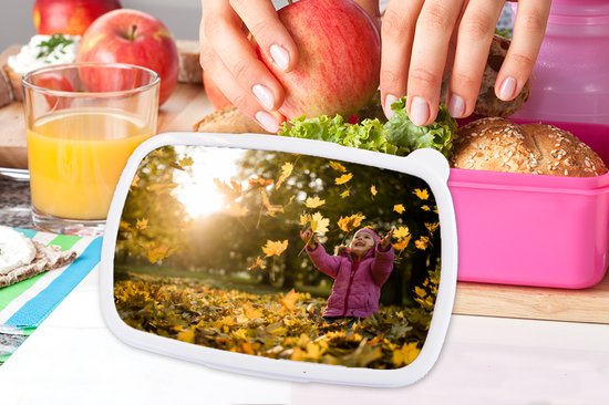 Broodtrommel Roze - Lunchbox - Brooddoos - Meisje - Bladeren - Lucht - 18x12x6 cm - Kinderen - Meisje