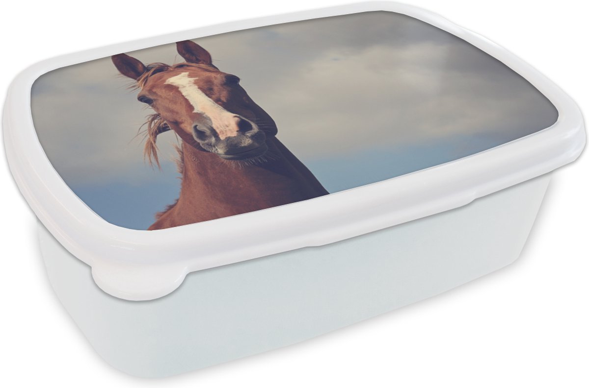 Broodtrommel Wit - Lunchbox - Brooddoos - Paard - Lucht - Blauw - 18x12x6 cm - Volwassenen
