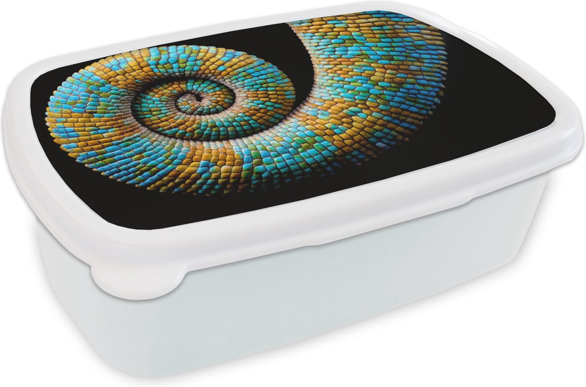 Broodtrommel Wit - Lunchbox - Brooddoos - Kameleon - Staart - Kleur - 18x12x6 cm - Volwassenen
