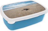 Broodtrommel Blauw - Lunchbox - Brooddoos - Strand - Zee - Schildpad - 18x12x6 cm - Kinderen - Jongen