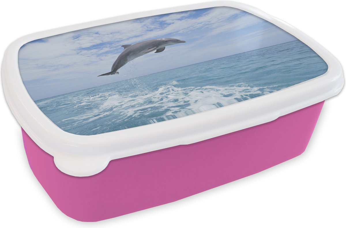 Broodtrommel Roze - Lunchbox - Brooddoos - Dolfijn - Zee - Lucht - 18x12x6 cm - Kinderen - Meisje