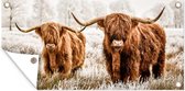 Tuinposter Schotse hooglander - Dieren - Koe - 80x40 cm - Wanddecoratie Buiten - Tuinposter - Tuindoek - Schuttingposter - Tuinschilderij