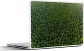 Laptop sticker - 12.3 inch - Bos - Nieuw-Zeeland - Natuur - 30x22cm - Laptopstickers - Laptop skin - Cover