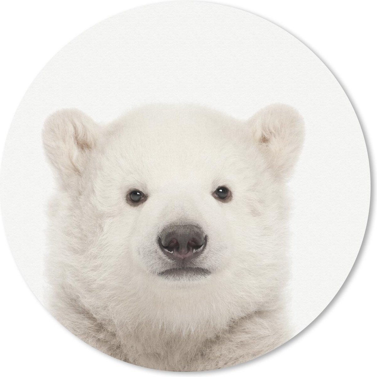 Muismat rond 20x20 cm - Mousepad Dieren - IJsbeer - Wit - Ronde muismatten