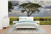 Behang - Fotobehang Olifantenfamilie onder een boom in het Nationaal park Serengeti - Breedte 395 cm x hoogte 220 cm