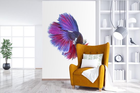 Papier Peint - Papiers Papier peint photo Poissons - Animaux aquatiques Marines - Staart - Largeur 170 cm x Hauteur 260 cm