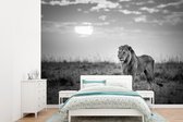 Papier peint Papier peint photo en vinyle - Lion avec coucher de soleil largeur 330 cm x hauteur 240 cm - Tirage photo sur papier peint (disponible en 7 tailles)