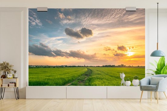 Papier peint Papier peint photo en vinyle - Coucher de soleil sur la campagne largeur 390 cm x hauteur 260 cm - Tirage photo sur papier peint (disponible en 7 tailles)