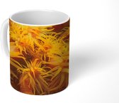 Mok - Close-up van koraal in Bonaire - 350 ML - Beker