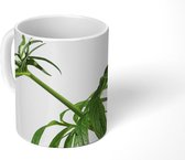 Mok - Een takje van de valeriaan - 350 ML - Beker