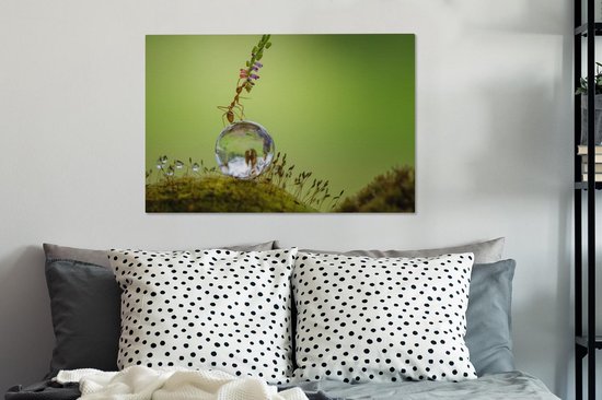 Tableau sur toile Fourmi assise sur une goutte d'eau - 60x40 cm - Décoration murale